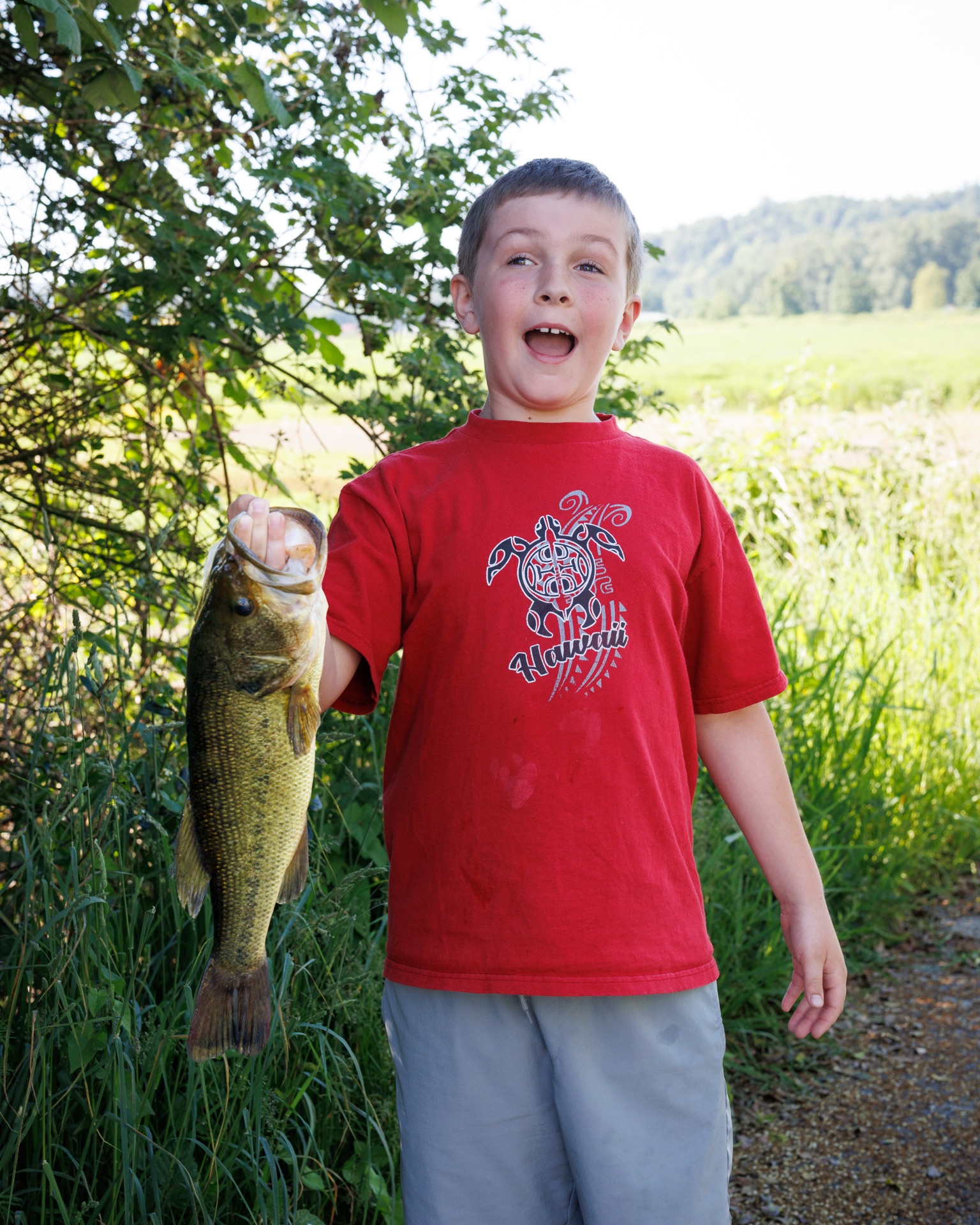 Largemouth Bass