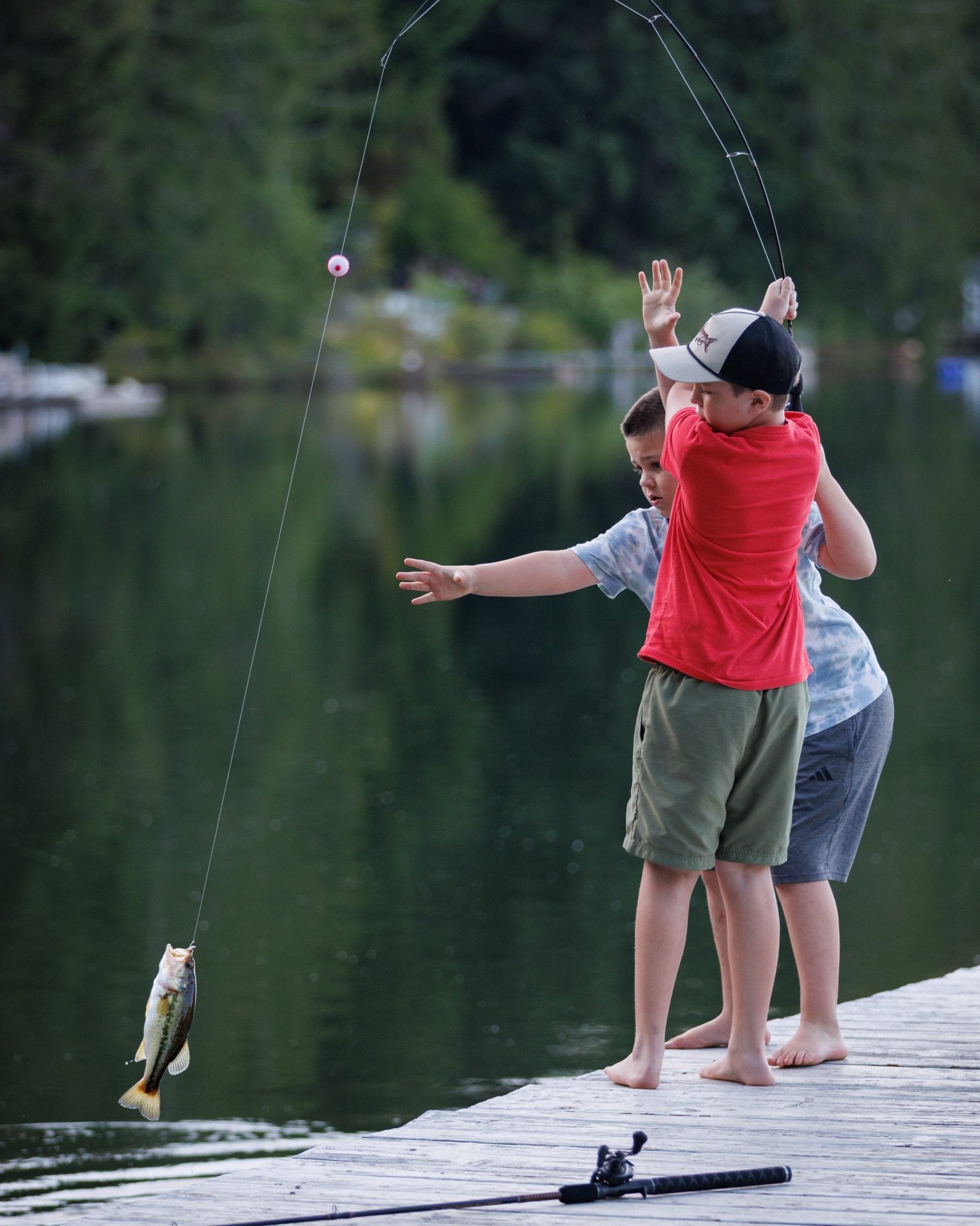 Largemouth Bass
