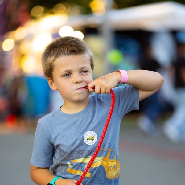 Evergreen State Fair