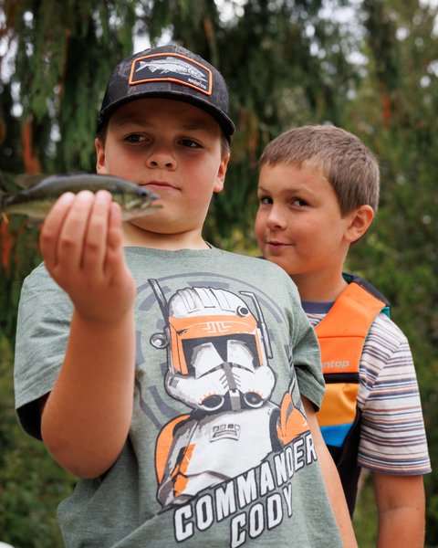 Largemouth Bass
