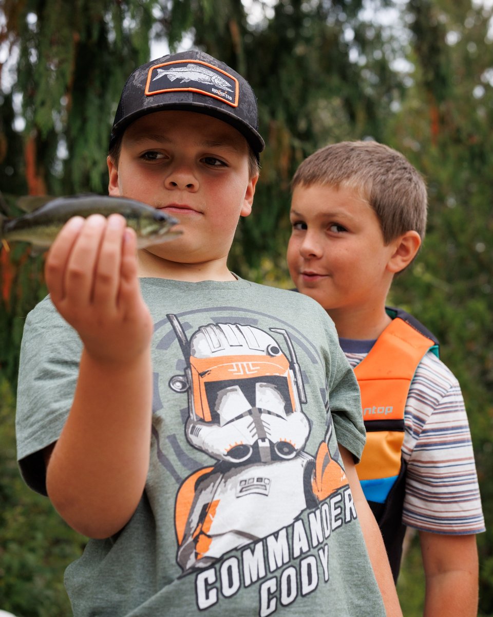 Largemouth Bass